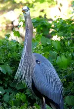 DSCN0842.webp