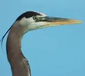 DSCN0805.webp