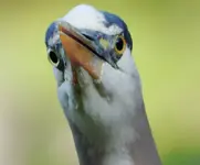 DSCN0844.webp