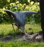 DSCN0954.webp
