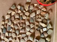 arrowhead 2.webp