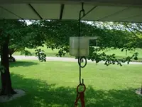 ant guard.webp