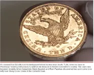 schultz_gold.webp