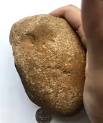 Thumb Dimple.webp