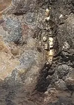 20210518_140302_crop.webp