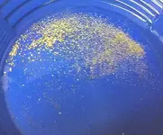 saturdays gold best ever cropped and tweaked2 1.9 grams.webp
