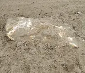 20210619_124646.webp