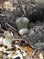 ImageUploadedByTreasureNet.com1617066503.051023.webp