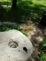IMG_20210517_132049652.webp
