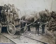 Draft Horses.webp