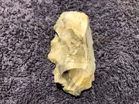 IMG_3015.webp