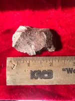 ImageUploadedByTreasureNet.com1620167445.641165.webp