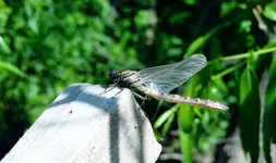 K1600_DSCN1416_InPixio.webp