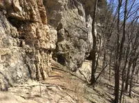 IMG_0903[1].webp