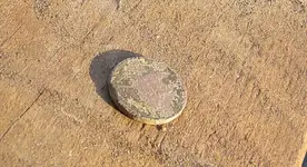 20210330_175813.webp