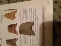 20210130_184704.webp