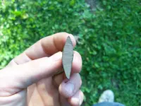 100_0580.webp