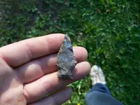 100_0582.webp