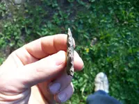 100_0583.webp