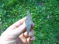 100_0589.webp