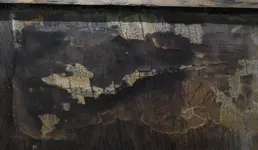 DSCN7959.webp