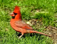 DSCN0653.webp
