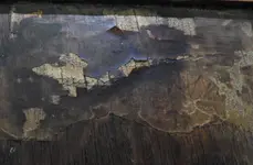 DSCN7960.webp
