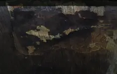 DSCN7966.webp