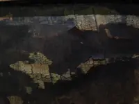 DSCN7967.webp