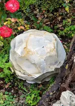 20210130_123604.artifact.core.webp
