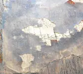 DSCN7972.webp