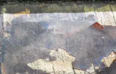 DSCN7973.webp