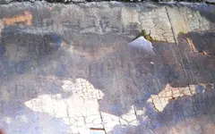 DSCN7974.webp
