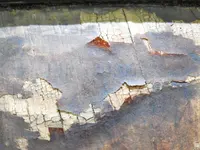 DSCN7976.webp
