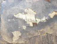 DSCN7977.webp