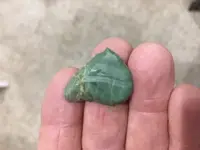 Paleo Graver.webp