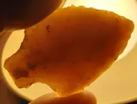 20210330_203724.webp