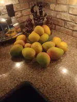 20210619_102650.webp