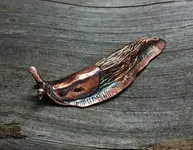 slug.webp