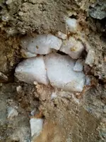 IMG-20210606-WA0081.webp