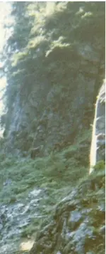 golddp3.webp