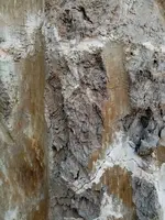 IMG-20210606-WA0040.webp