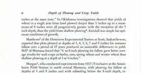 crop yeild 7-8 inch depending on deason.webp