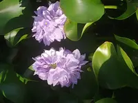 20210429_175946.webp