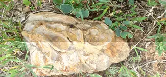 IMG_20210330_173048.webp