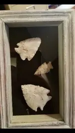 Screenshot_20210621-095544_Gallery_resized.webp