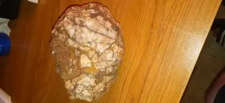 20210605_212131.webp