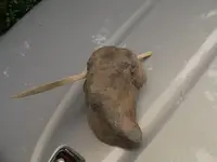 DSCF9182.webp
