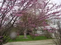 DSC08288.webp