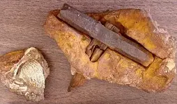 Iron Hammer_3.00_003a.webp